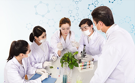 優(yōu)勢(shì)圖